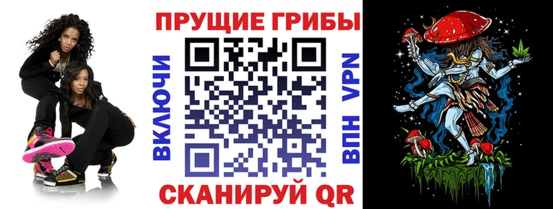 где купить наркоту  Азнакаево  Галлюциногенные грибы GOLDEN TEACHER 